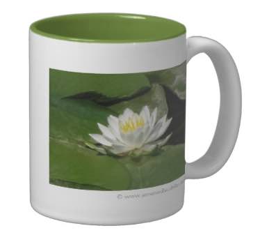 See all our beautiful mugs Water Lily photograph mug